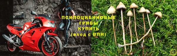 гидра Алексин