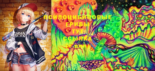 гидра Алексин