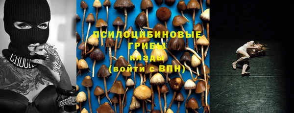 прущие крисы Алзамай