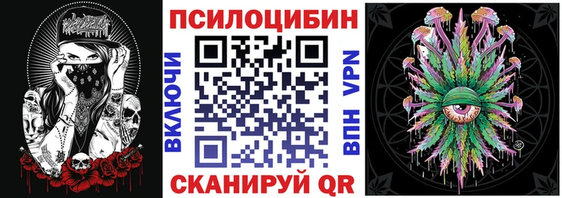Галлюциногенные грибы Psilocybe  Ишим 