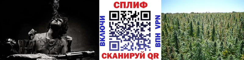 Бошки марихуана OG Kush  нарко площадка формула  Ишим 